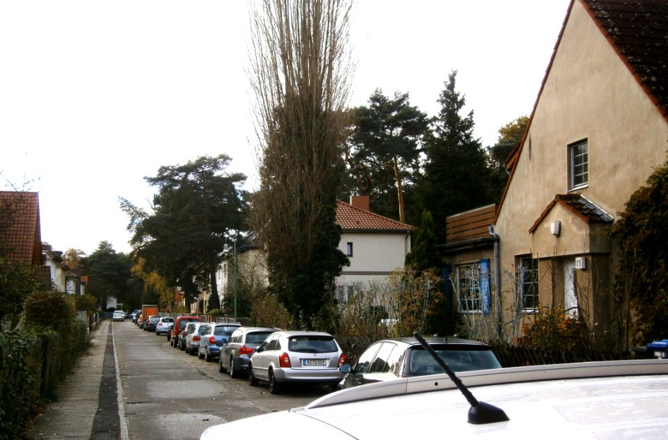 HakenfeldeHolunderweg