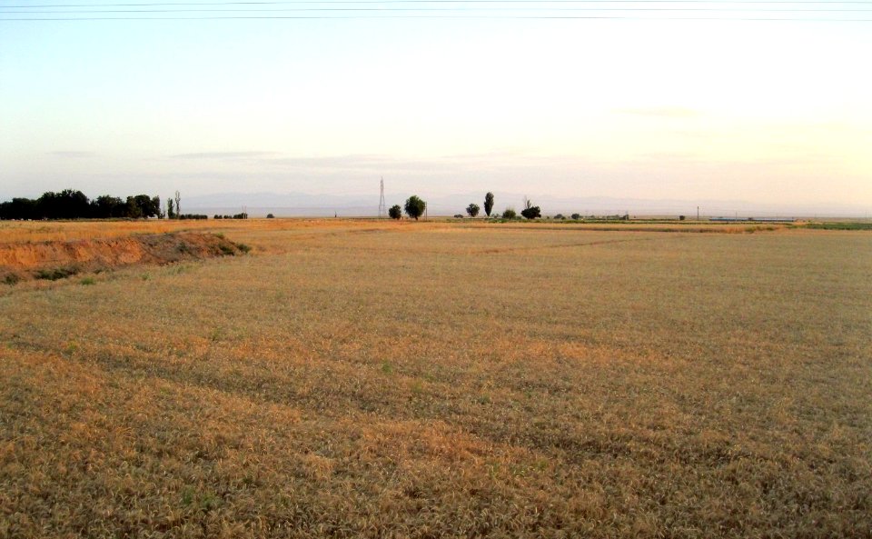 Hajjiabad, Zeberkhan, Nishapur (16)