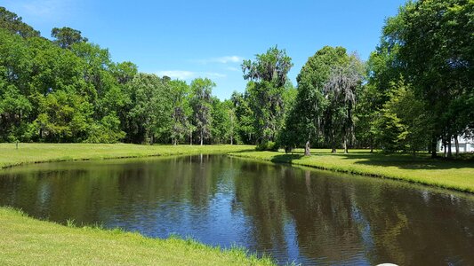 Water sky trees