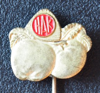 HAK reclamespeldje