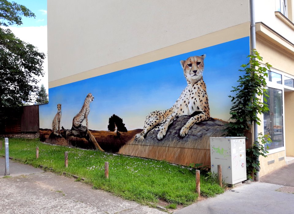 HAL-PaulSuhrStr41 mural