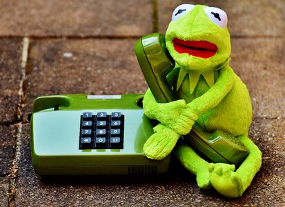 Figure funny frogs