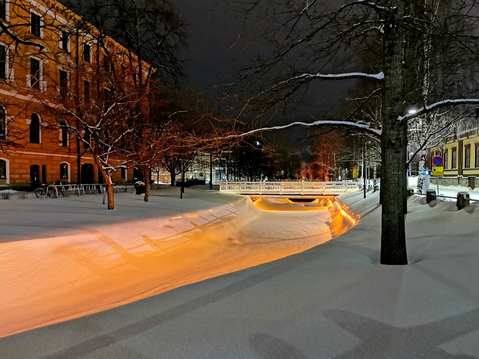 Hallituspuisto Oulu 20210130