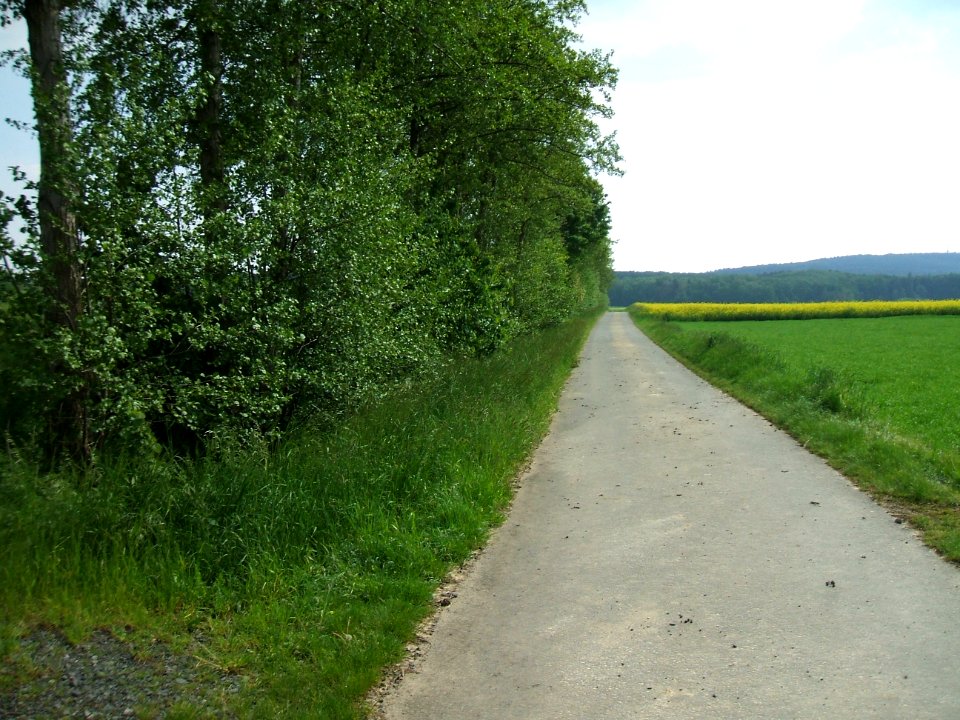 Hainbach Blick aufwärts km 1 links