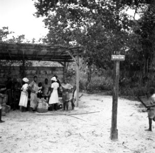 Halte Berlijn van de goudveldentrein tussen Paramaribo en Kabelstation, Bestanddeelnr 252-5988