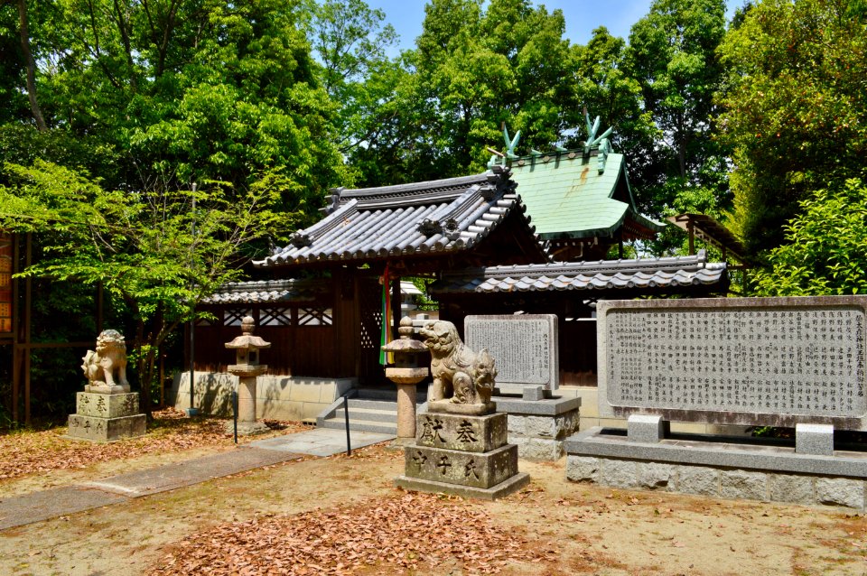 Hakatahiko-jinja, shaden