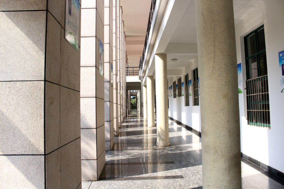 Hallway of No. 11e Building, Lishui University3