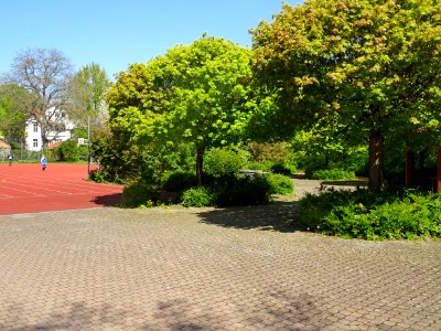 Hainberg Gymnasium Göttingen InnenhofSport photo