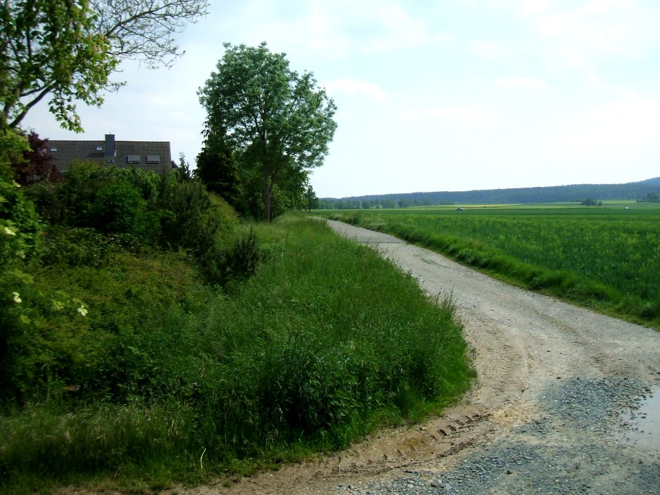 Hainbach letzte Brücke Blick aufwärts
