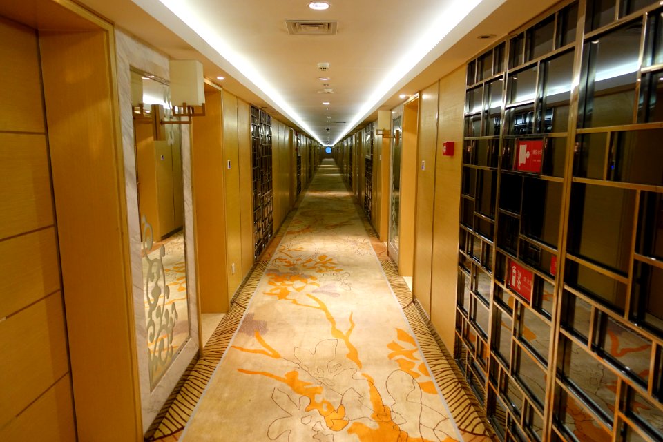 Hallway in Wangjiang Hotel - Chengdu, China - DSC02672