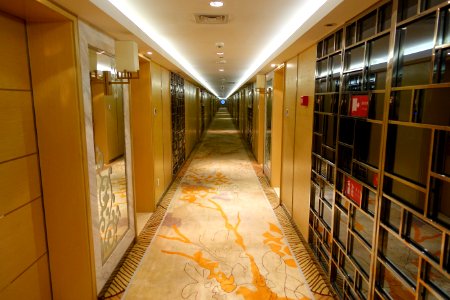 Hallway in Wangjiang Hotel - Chengdu, China - DSC02672