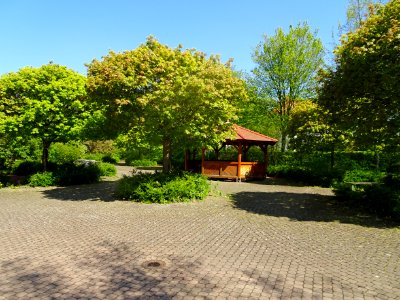 Hainberg Gymnasium Göttingen Innenhof photo