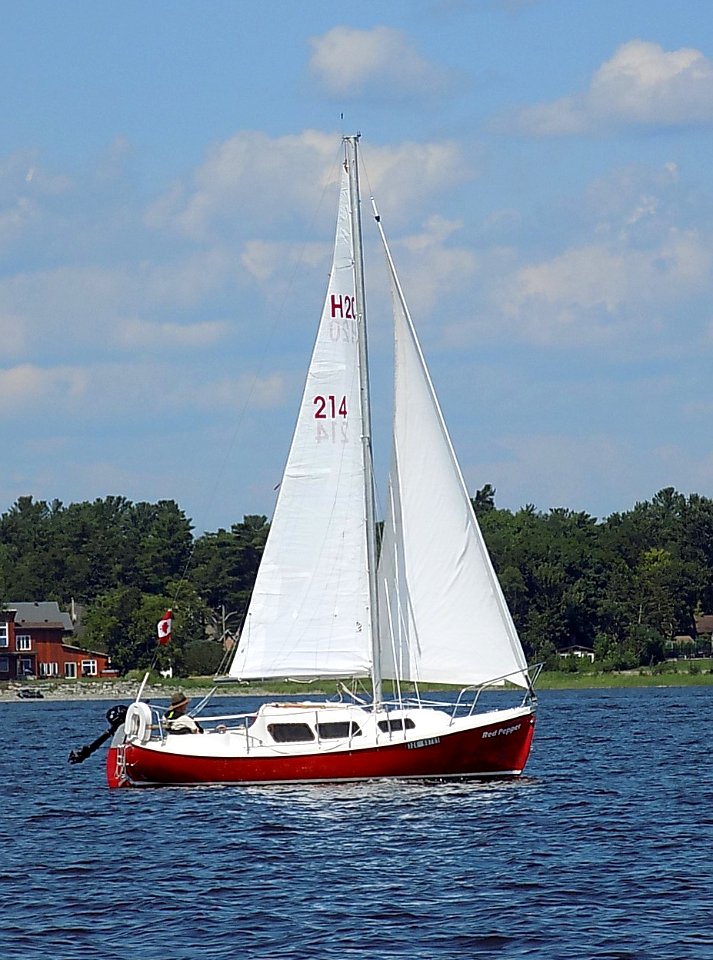 Halman 20 Red Pepper 3644