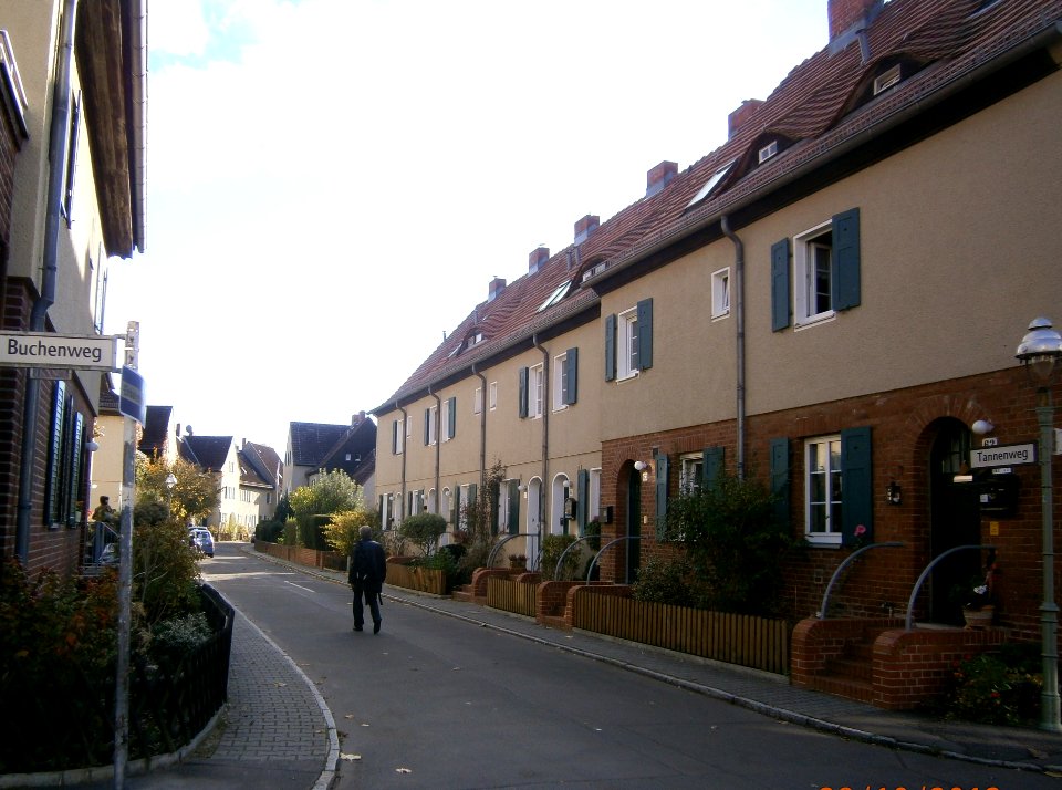 Hakenf-Tannenweg(2)
