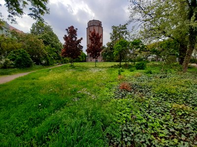 Halle-Lutherplatz Parkanlage