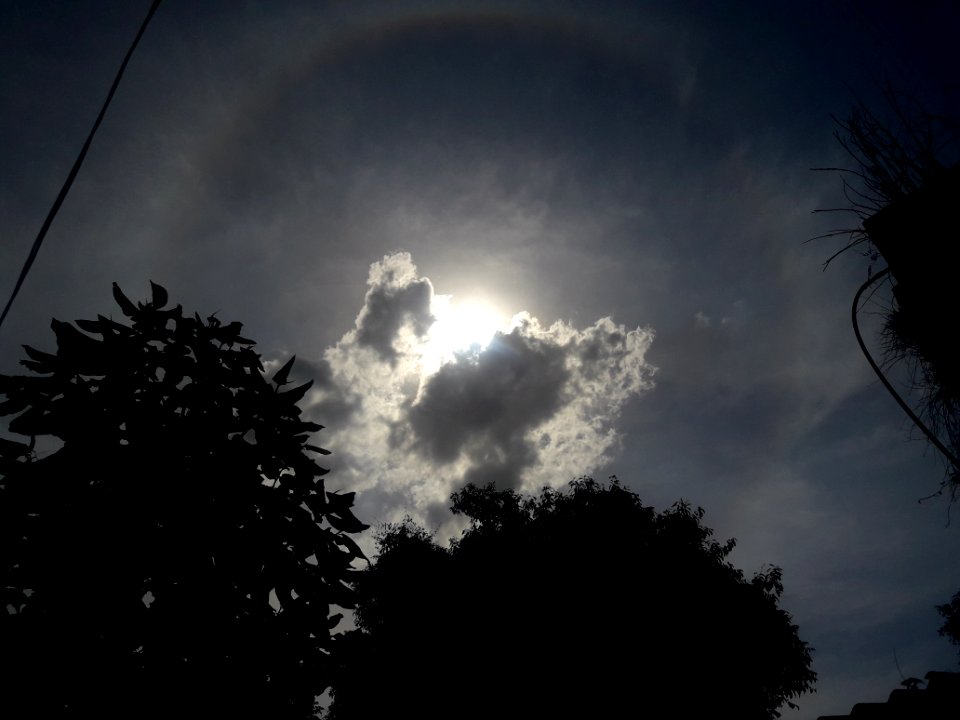 Halo Taubateano 2