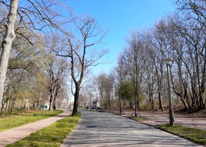 HAL-MaxLademannStraße
