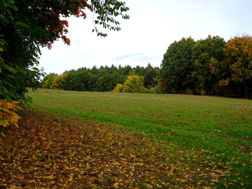 Halde Beharrlichkeitsschacht Chemnitz