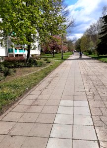 Halle-Lutherstraße FußRadweg