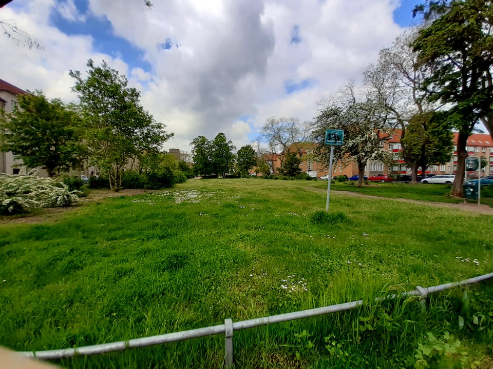 Halle-Lutherstraße Hundewiese