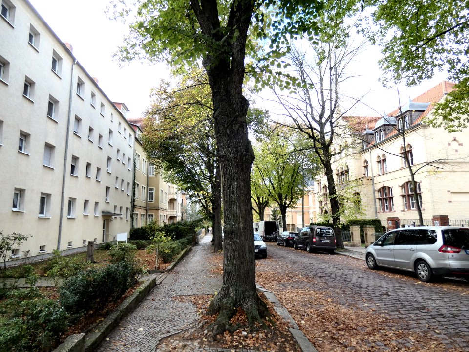 HAL Herweghstraße (3)
