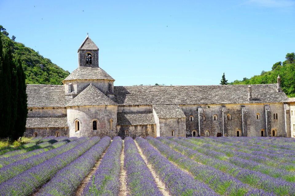 The order of cistercians abbaye de sénanque gordes photo