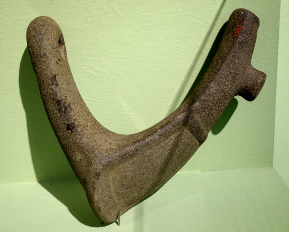 Half of a ceremonial collar (elbow stone), Taino Culture, Puerto Rico, c. 1000-1494 AD, stone - Fitchburg Art Museum - DSC08789