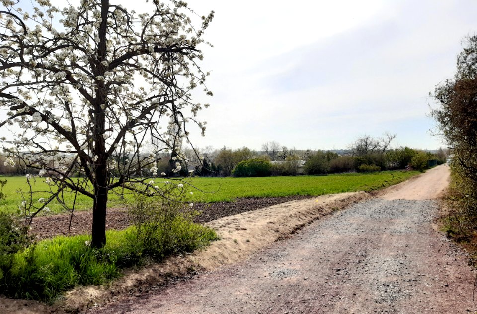 HAL-Bergschenkenweg GottfriedKellerSiedlung