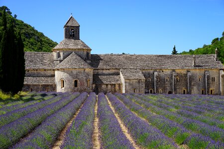 Notre dame de sénanque the order of cistercians gordes