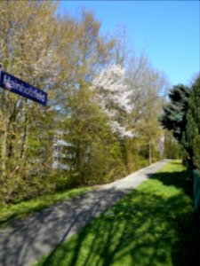 Hainholzfeld