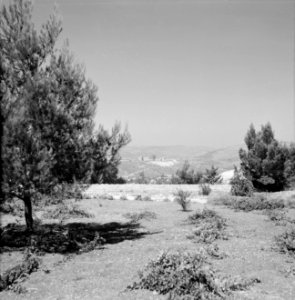 Hadassah universistair medisch centrum gezien vanaf de Mount Herzl, Bestanddeelnr 255-4919
