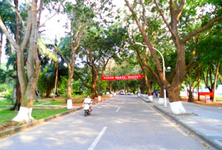 Hainan University - 11