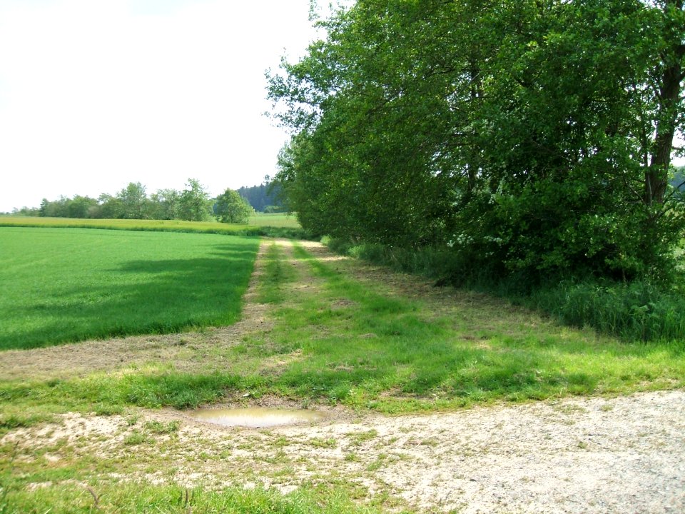 Hainbach Blick aufwärts km 1,45