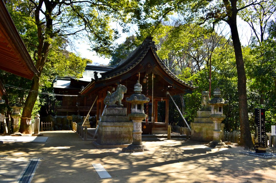 Hakusan-jinja (Futago, Kasugai), haiden