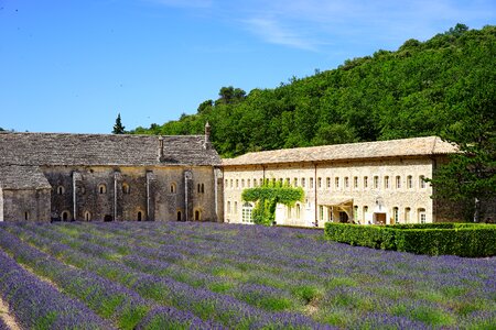 Monastery abbey notre dame de sénanque