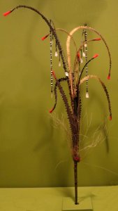 Hair ornament from Ilongot in northern Luzon, Honolulu Museum of Art II