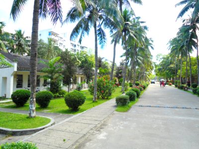 Hainan Normal University, Haikou Campus - 08