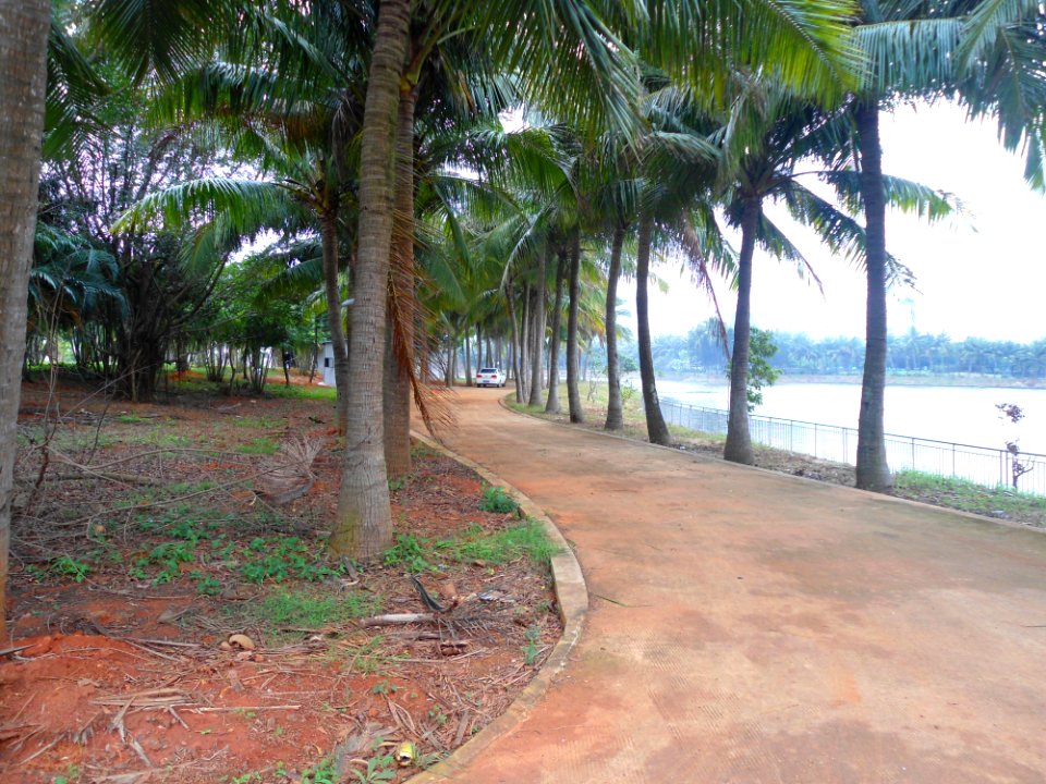 Hainan (Haikou) Youth Technology Park - 21
