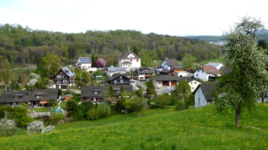 Halden TG