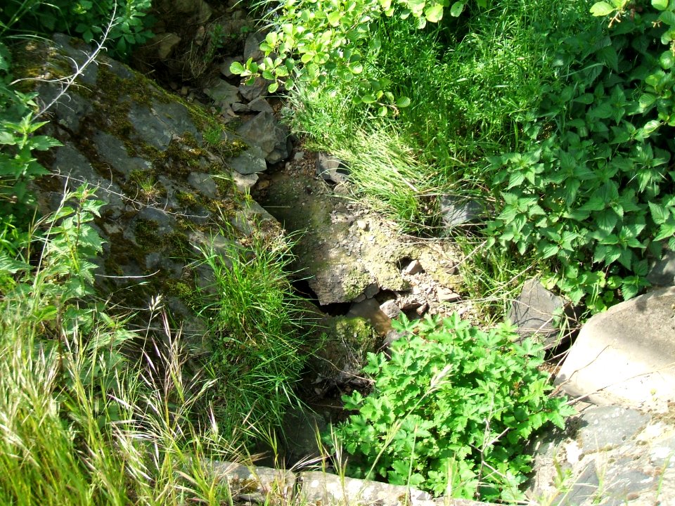 Hainbach Auslass asphaltierter Weg km 1,9 a