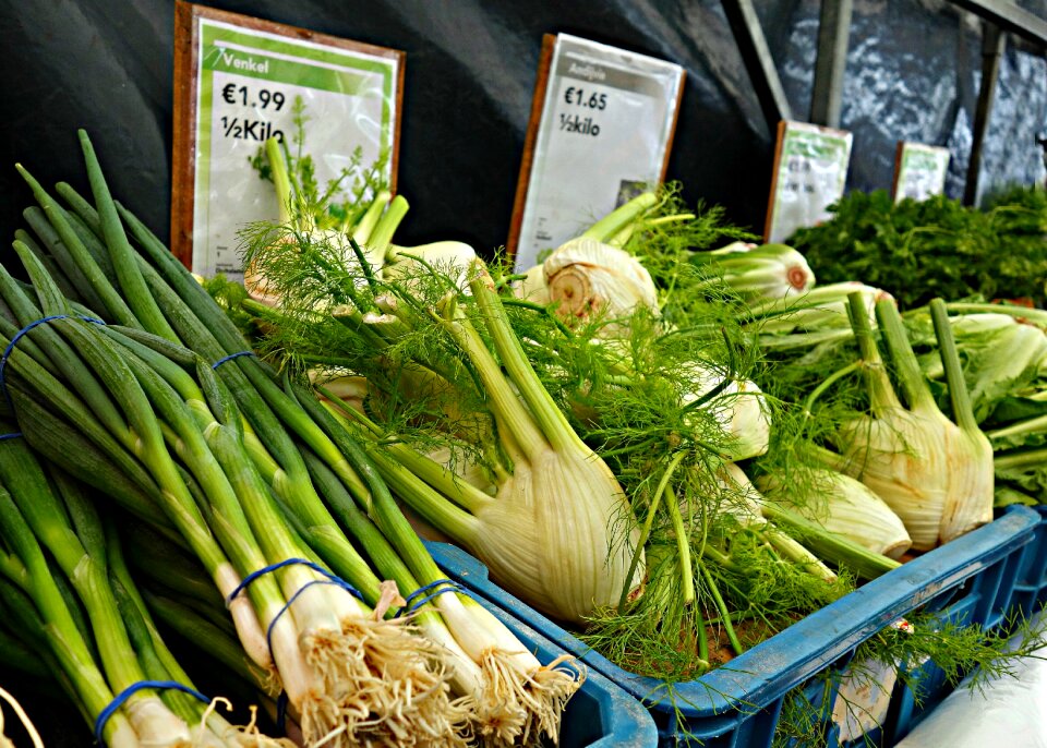 Vegetable herbs fresh vegetables