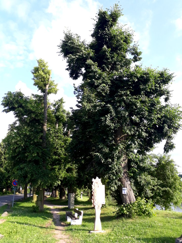 Hainspitzer See - 6