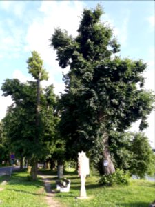 Hainspitzer See - 6