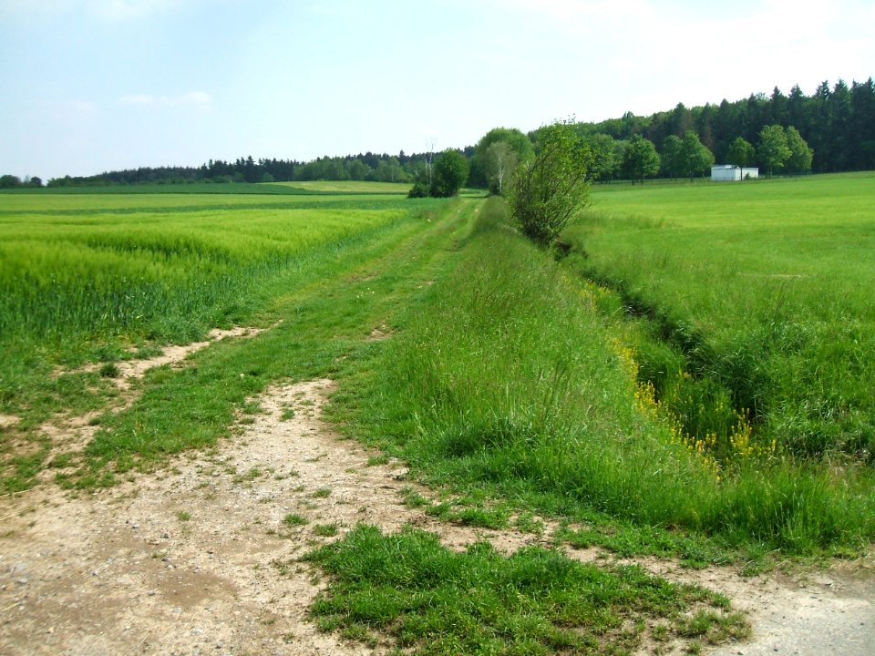 Hainbach Blick aufwärts asphaltierter Weg km 1,9