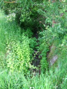 Hainbach Befestigung am Tannenhof