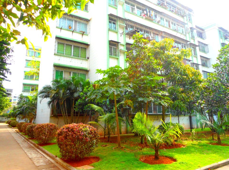 Hainan University - 13