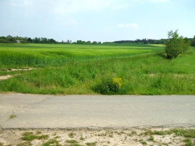 Hainbach Blick asphaltierter Weg aufwärts Rastanlage