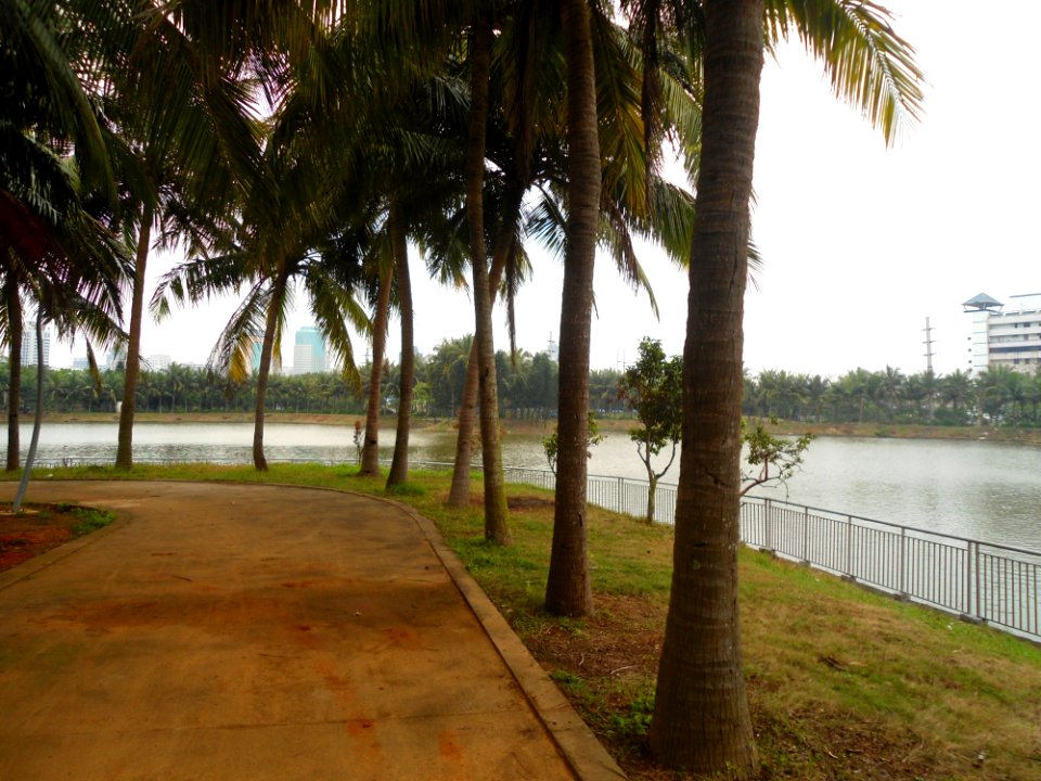 Hainan (Haikou) Youth Technology Park - 24