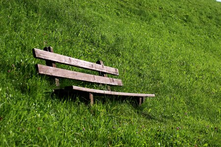 Green nature wooden bench