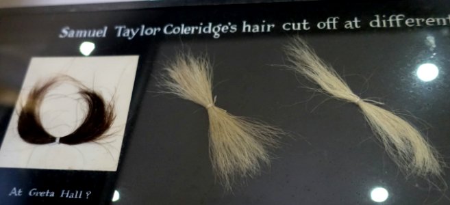 Hair cuttings of Samuel Taylor Coleridge - Coleridge Cottage - Nether Stowey - Somerset, England - DSC01156